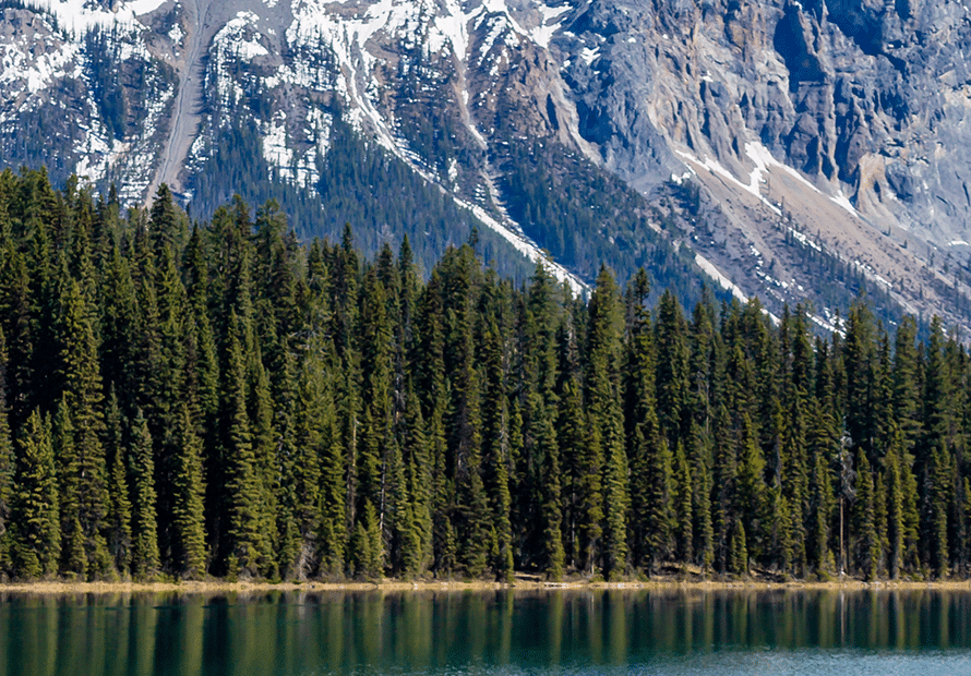 Emerald-Lake-Rockies-Canada-Private-Healthcare-Outdoor-Lifestyle