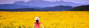 Science-Backed Facts About Seed Oils 2 Canola seed oil healthy_woman in field with mountains